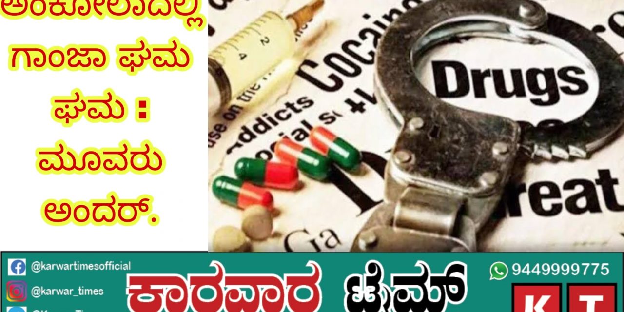 ಅಂಕೋಲಾದಲ್ಲಿ ಗಾಂಜಾ ಘಮ ಘಮ : ಮೂವರು ಅಂದರ್.