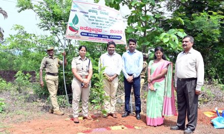 ಹಳಿಯಾಳ: ವಿಶ್ವ ಪರಿಸರ ದಿನಾಚರಣೆ
