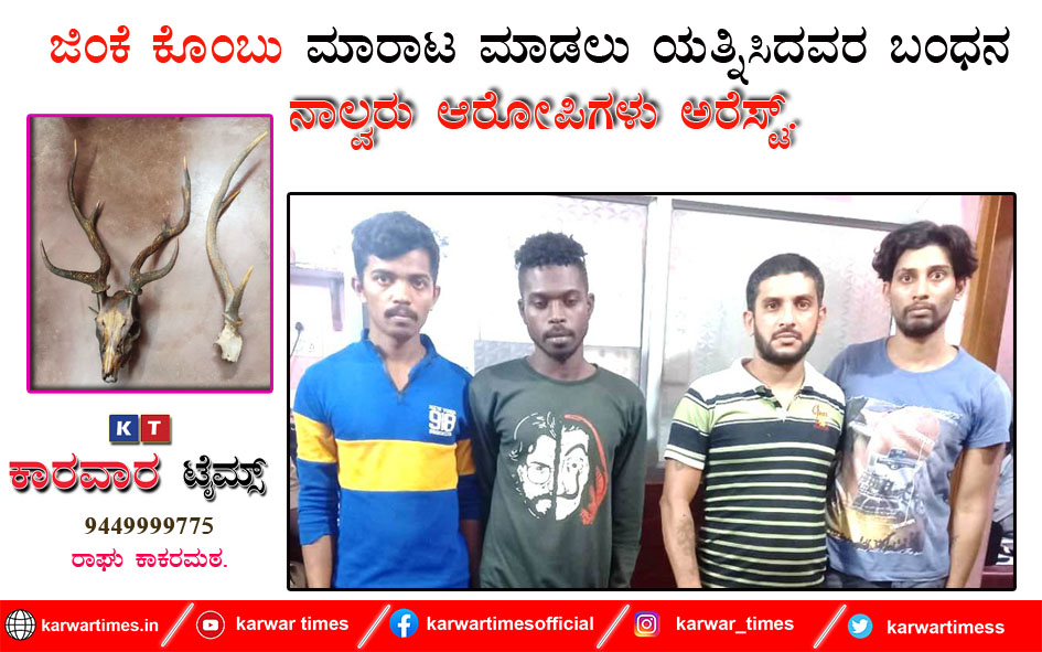 ಜಿಂಕೆ ಕೊಂಬು ಮಾರಾಟ ಮಾಡಲು ಯತ್ನಿಸಿದವರ ಬಂಧನ : ನಾಲ್ವರು ಆರೋಪಿಗಳು ಅರೆಸ್ಟ್.