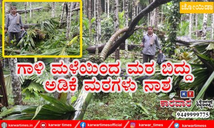 ಗಾಳಿ ಮಳೆಯಿಂದ ಮರ ಬಿದ್ದು ಅಡಿಕೆ ಮರಗಳು ನಾಶ.