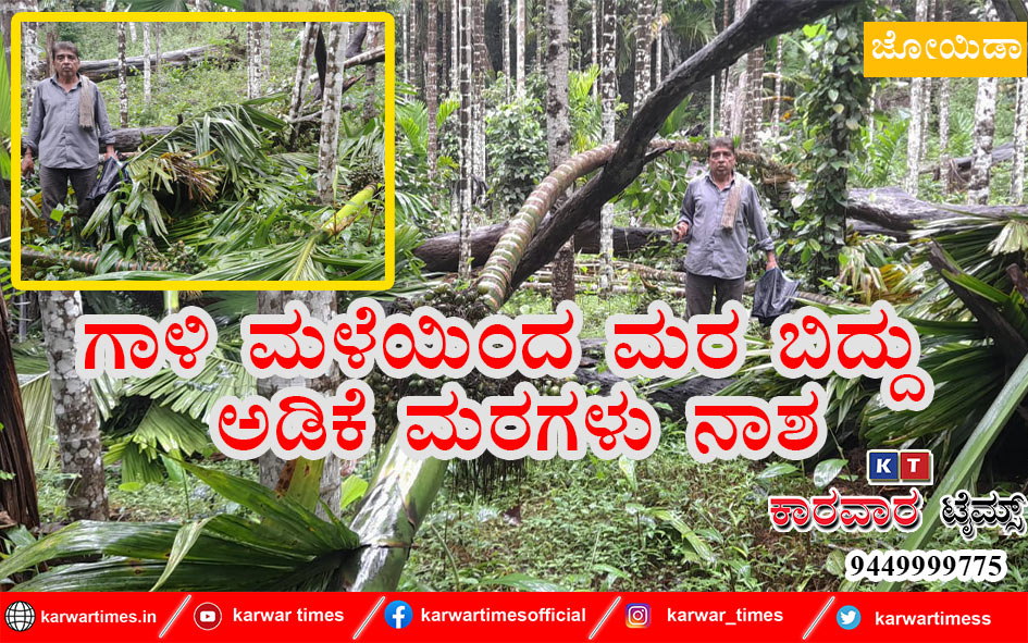ಗಾಳಿ ಮಳೆಯಿಂದ ಮರ ಬಿದ್ದು ಅಡಿಕೆ ಮರಗಳು ನಾಶ.
