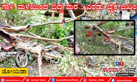 ಗಾಳಿ ಮಳೆಯಿಂದ ಬಿದ್ದ ಮರ : ಎರಡು ಬೈಕ ಜಖಂ