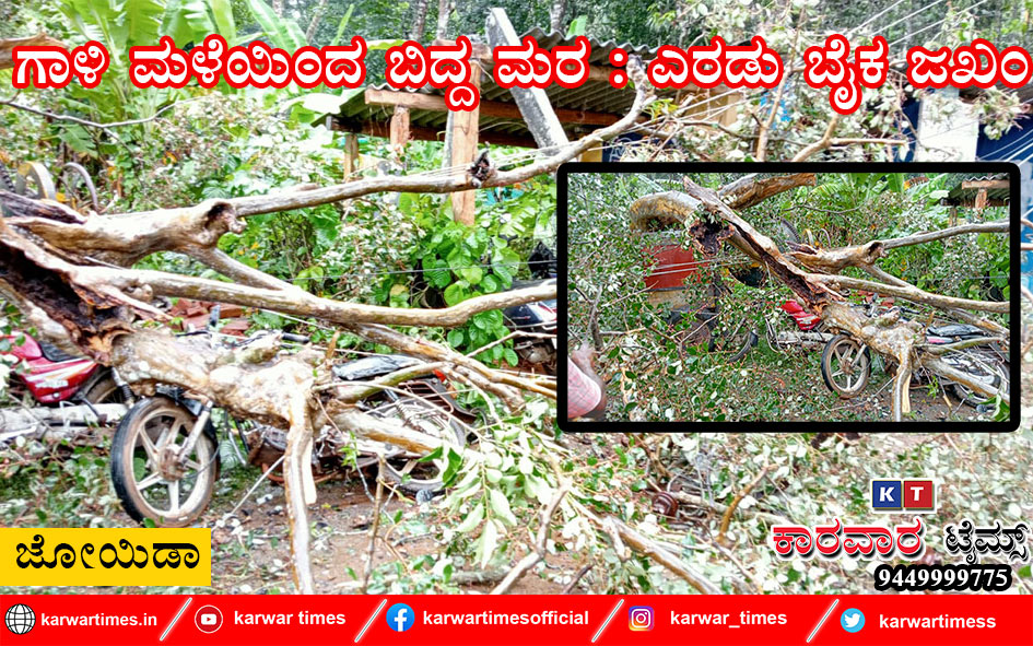 ಗಾಳಿ ಮಳೆಯಿಂದ ಬಿದ್ದ ಮರ :  ಎರಡು ಬೈಕ ಜಖಂ