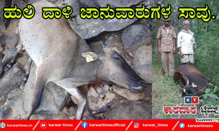 ಹುಲಿ ದಾಳಿ ಜಾನುವಾರುಗಳ ಸಾವು.