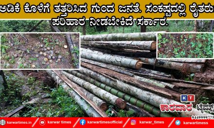 ಅಡಿಕೆ ಕೊಳೆಗೆ ತತ್ತರಿಸಿದ ಗುಂದ ಜನತೆ. ಸಂಕಷ್ಟದಲ್ಲಿ ರೈತರು: ಪರಿಹಾರ ನೀಡಬೇಕಿದೆ ಸರ್ಕಾರ.