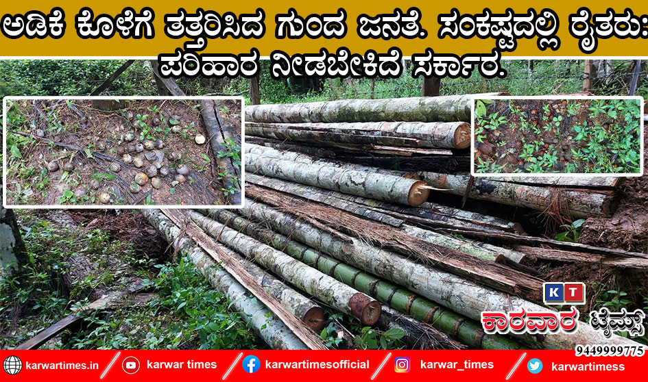 ಅಡಿಕೆ ಕೊಳೆಗೆ ತತ್ತರಿಸಿದ ಗುಂದ ಜನತೆ. ಸಂಕಷ್ಟದಲ್ಲಿ ರೈತರು: ಪರಿಹಾರ ನೀಡಬೇಕಿದೆ ಸರ್ಕಾರ.