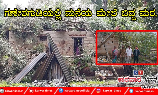 ಗಣೇಶಗುಡಿಯಲ್ಲಿ ಮನೆಯ ಮೇಲೆ ಬಿದ್ದ ಮರ.