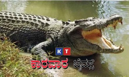 ಸೇಲ್ಪಿ ತೆಗೆಯುತ್ತಿದ್ದ ವೇಳೆ ಮೊಸಳೆ ಪ್ರತ್ಯಕ್ಷ : ಮೂರ್ಚೆ ಹೋದ ಯುವತಿ