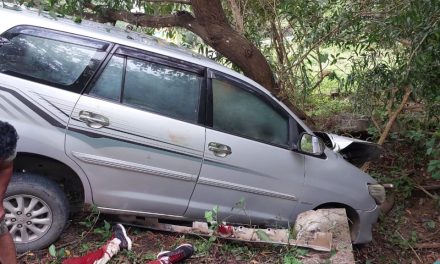 ಸರಳೆಬೈಲ್ ಬಳಿ ಮರಕ್ಕೆ ಗುದ್ದಿದ ಕಾರು : ಓರ್ವ ಸಾವು : ಐವರಿಗೆ ಗಾಯ