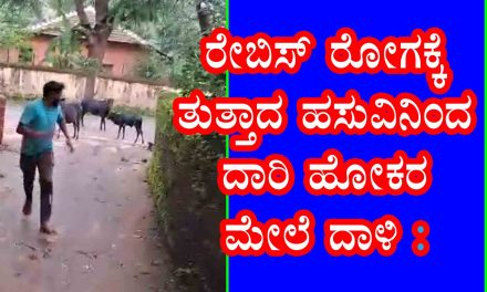 ರೇಬಿಸ್ ರೋಗಕ್ಕೆ ತುತ್ತಾದ ಹಸುವಿನಿಂದ ದಾರಿ ಹೋಕರ ಮೇಲೆ ದಾಳಿ