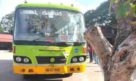 ಅಂಕೋಲಾ ಬಸ್ ನಿಲ್ದಾನದಲ್ಲಿ ಮರಕ್ಕೆ ಗುದ್ದಿದ ಬಸ್ : 14 ಪ್ರಯಾಣಿಕರಿಗೆ ಗಾಯ