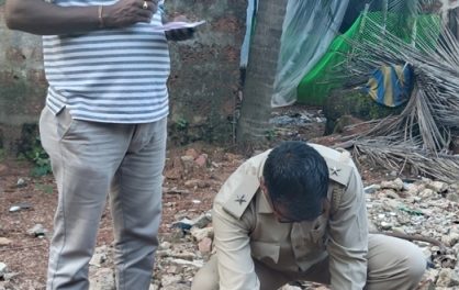 ಯಾವುದೇ ಪರವಾನಿಗೆ ಇಲ್ಲದೆ ಮರಗಳ ಮಾರಣ ಹೋಮ :